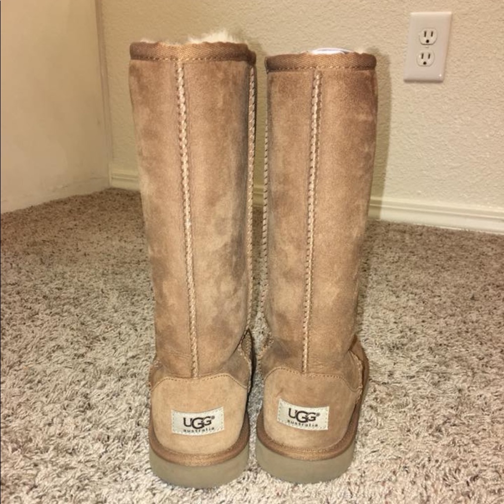Tall UGG Classics